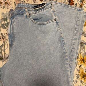 The Limited Sky Blue Straight Leg Jeans